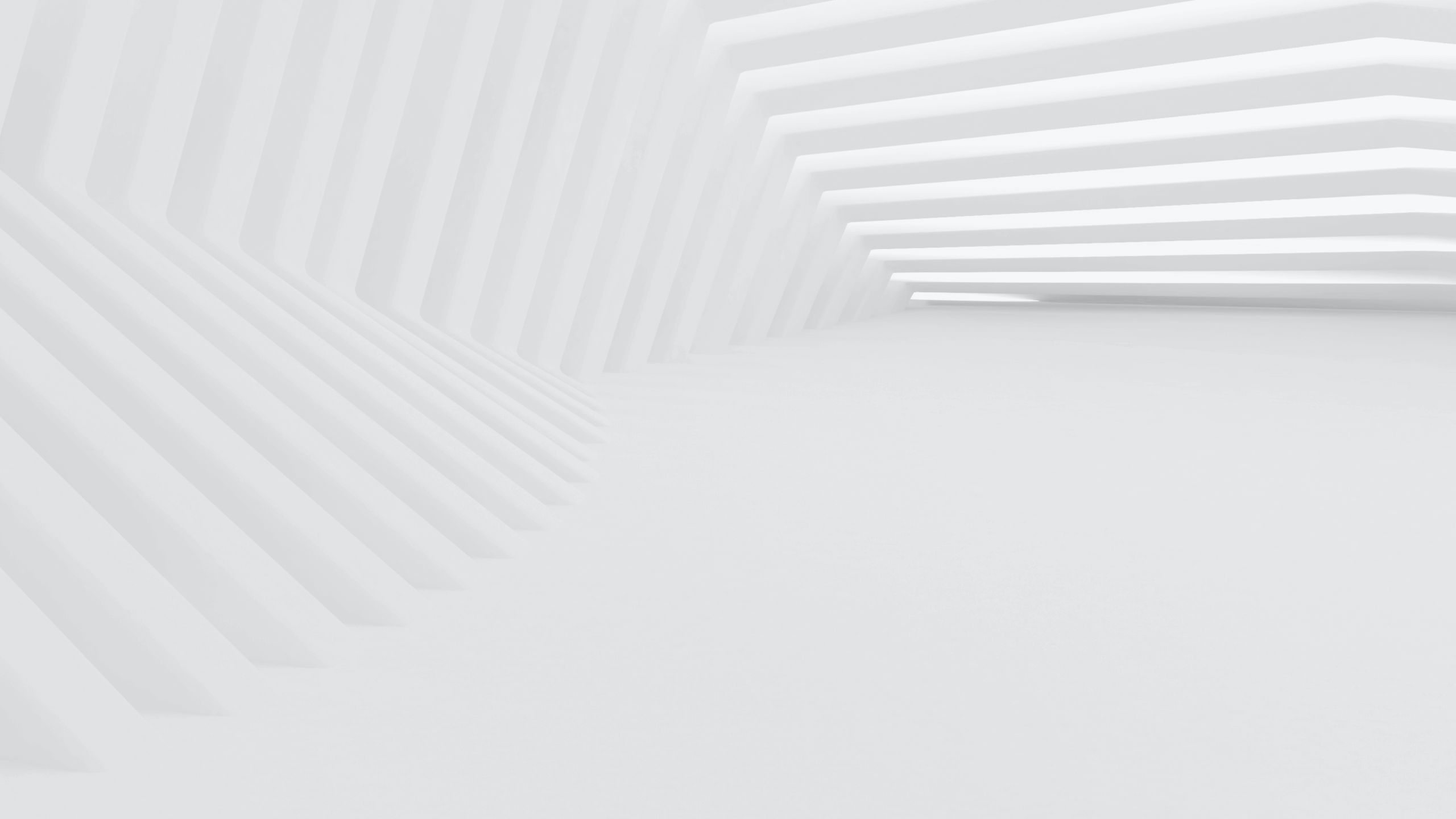 bg 01